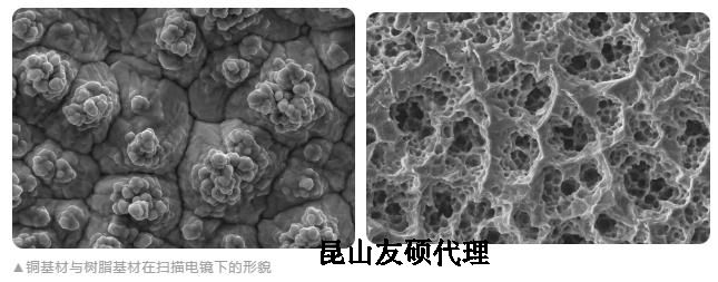 汕尾蔡司汕尾扫描电镜