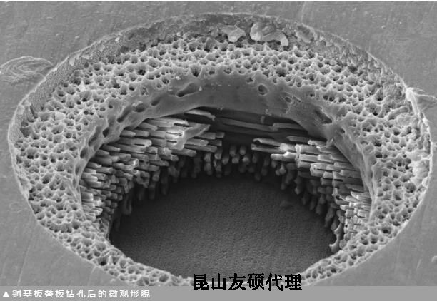 汕尾蔡司汕尾扫描电镜